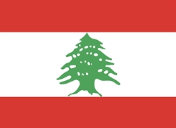 [ai] The national flag of Lebanon featuring two horizontal red stripes at the top and bottom, with a central white stripe. In the white stripe, there is a green cedar tree, representing resilience.